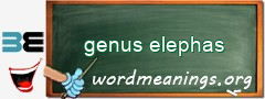 WordMeaning blackboard for genus elephas